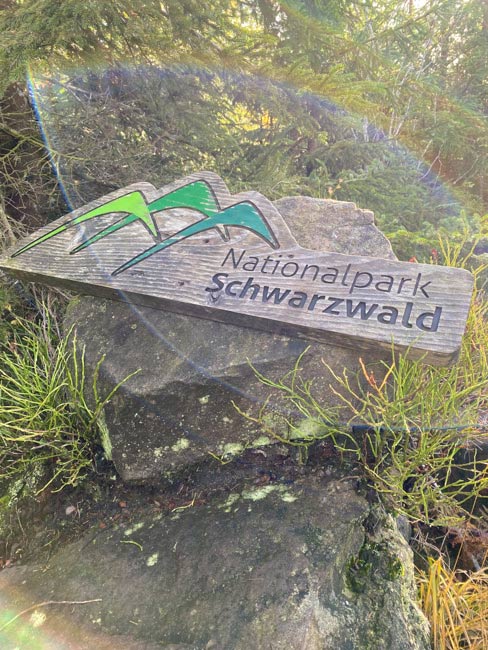 Nationalpark Schwarzwald